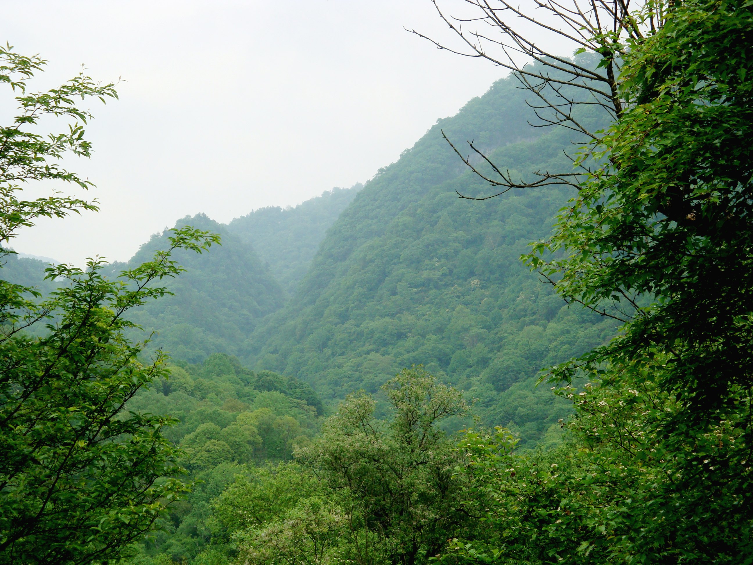 wKgBs1hPxhOAOAaCABFn7NYF0R442.jpeg wKgBs1hPxhOAOAaCABFn7NYF0R442.jpeg