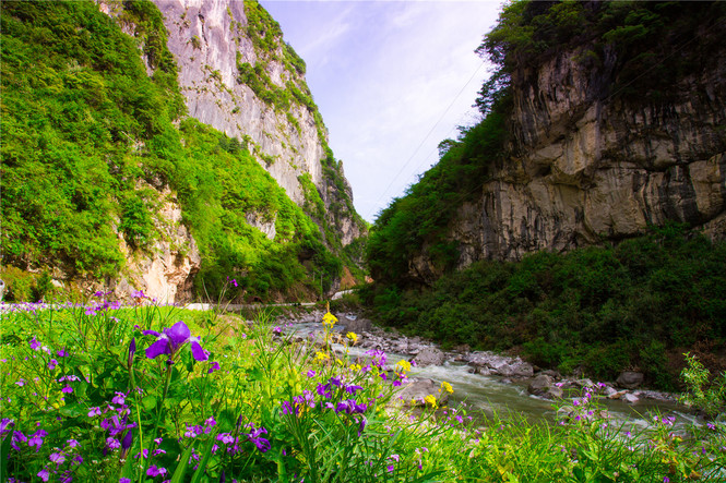 wKgBpVWN.jpeg wKgBpVWN.jpeg