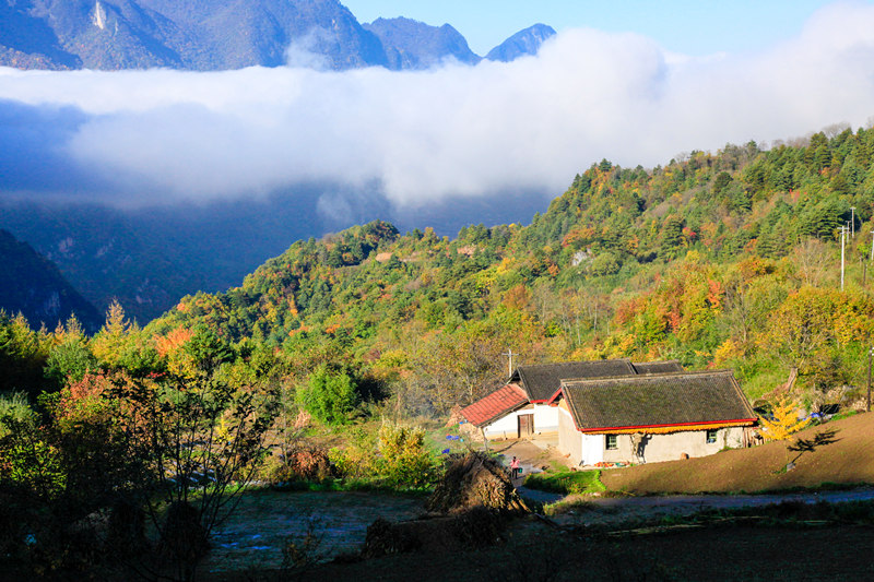 1461564198583988_800X9000.jpg 1461564198583988_800X9000.jpg