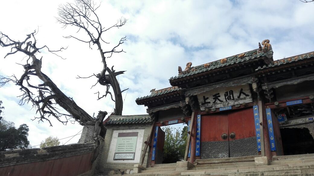 timg (2).jpg timg (2).jpg