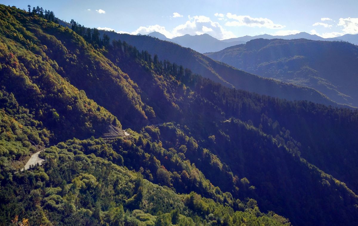 293_885299_ee4417012f5910e.jpg 293_885299_ee4417012f5910e.jpg