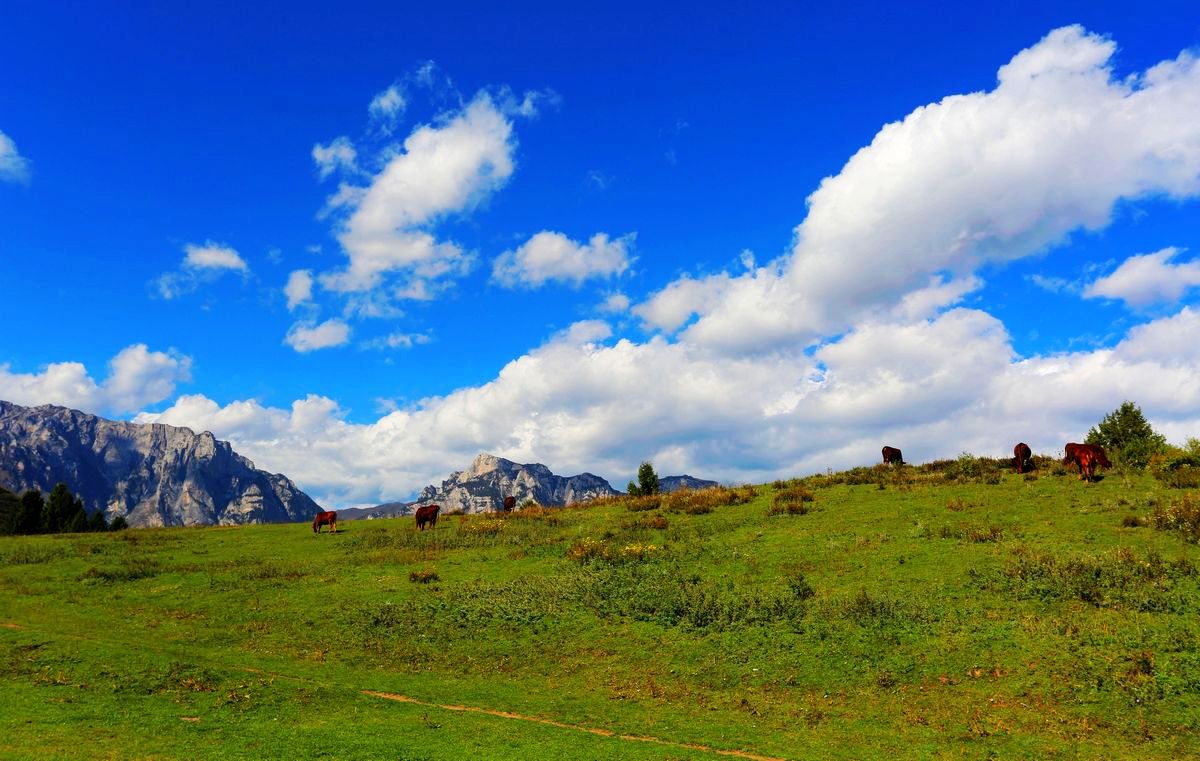 293_885299_61ea1f2b3edfe61.jpg 293_885299_61ea1f2b3edfe61.jpg