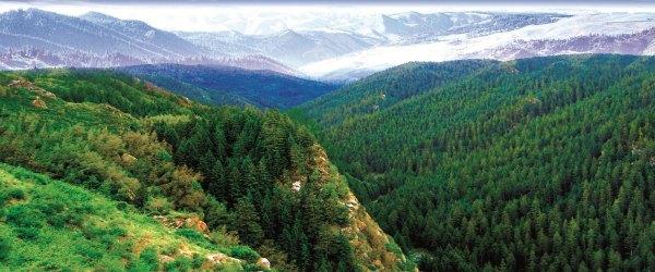 001lJlBizy7npqRxTjM6e&690.jpg 001lJlBizy7npqRxTjM6e&690.jpg