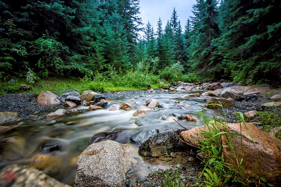 25355189_1470762349672_mthumb.jpg 25355189_1470762349672_mthumb.jpg